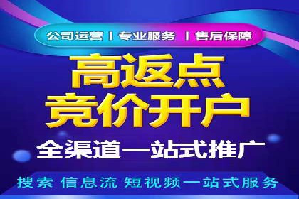 百度广告投放策略优化的经典案例